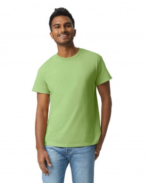 Kiwi Gildan 2000 Men's T-Shirts | KJXB39014