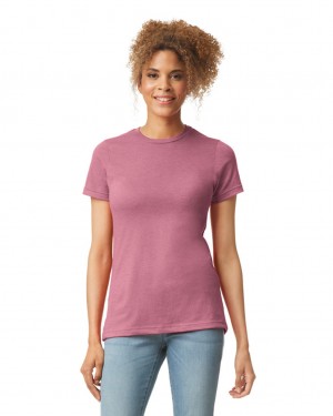 Plumrose Gildan 67000L CVC Women's T-Shirts | DKQG93164