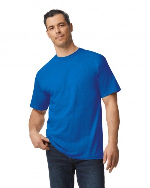 Royal Gildan 2000T Tall Men's T-Shirts | EZLR15369