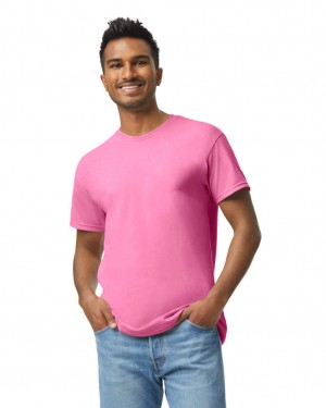 Safety Pink Gildan 5000 Men's T-Shirts | QRIS17843