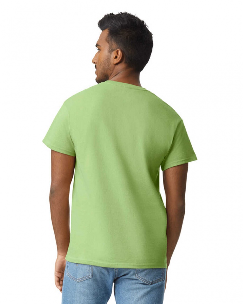 Kiwi Gildan 2000 Men's T-Shirts | KJXB39014