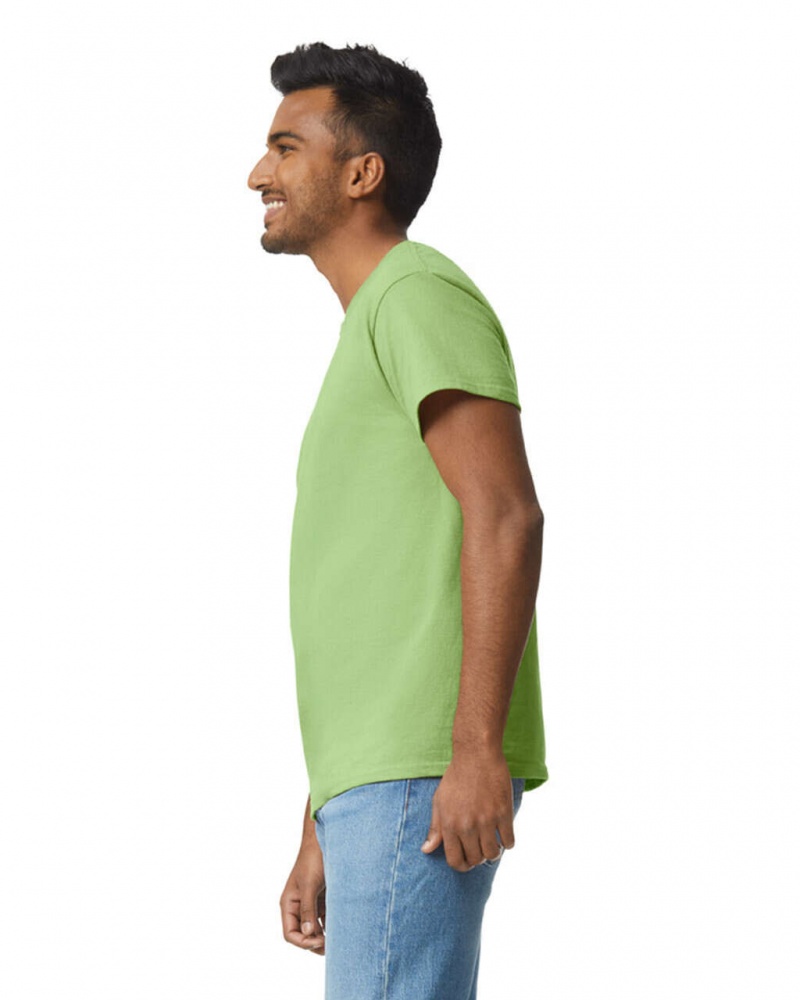 Kiwi Gildan 2000 Men's T-Shirts | KJXB39014